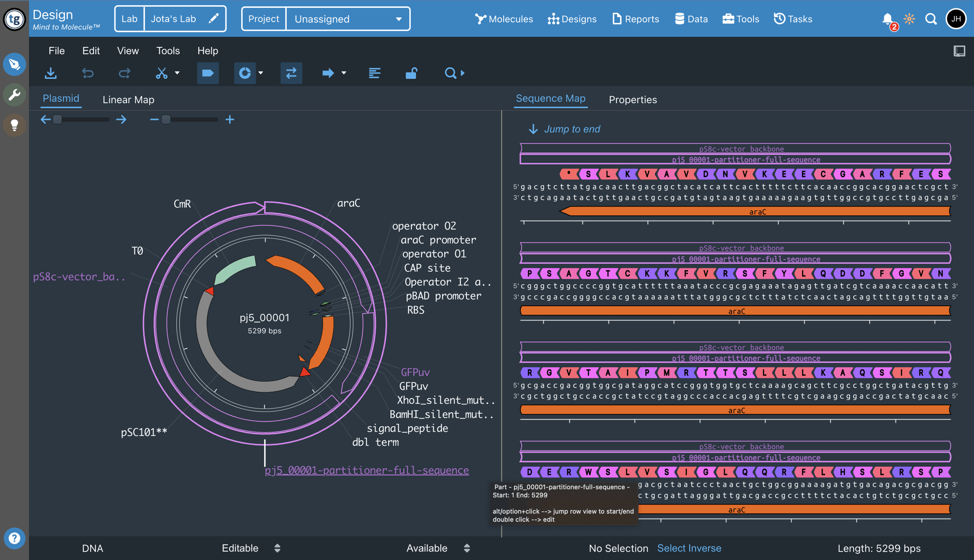 TeselaGen's vector editor